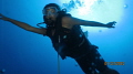   Jamaican Mermaid Diver  